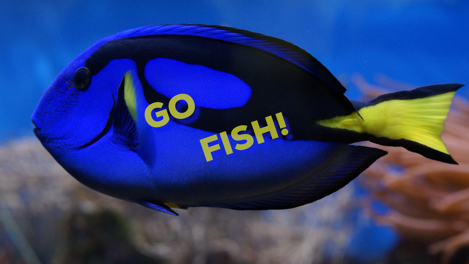 Go Fish! (2023) | Fitzpatrick Music